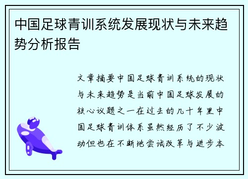 中国足球青训系统发展现状与未来趋势分析报告